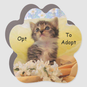 Opt To Adopt - Kate the Ballerina - Cat Car Magnet