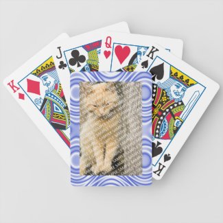Optical IllusioFrame Create Your Own Gift Template Deck Of Cards