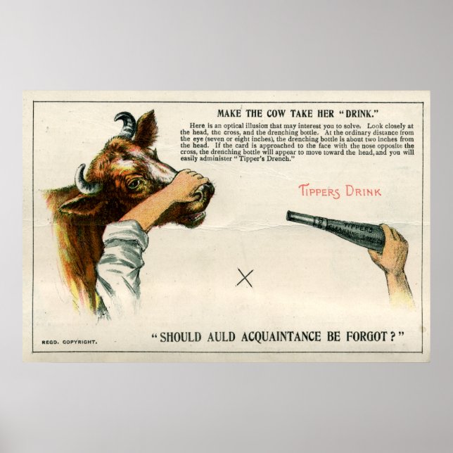 Optical illusion, 1896 poster (Front)