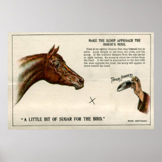 Optical illusion 1896 poster