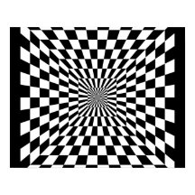 Optical Illusion Poster