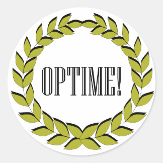 Optime! Excellent job! Classic Round Sticker