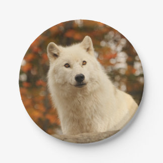 Optimism Paper Plates