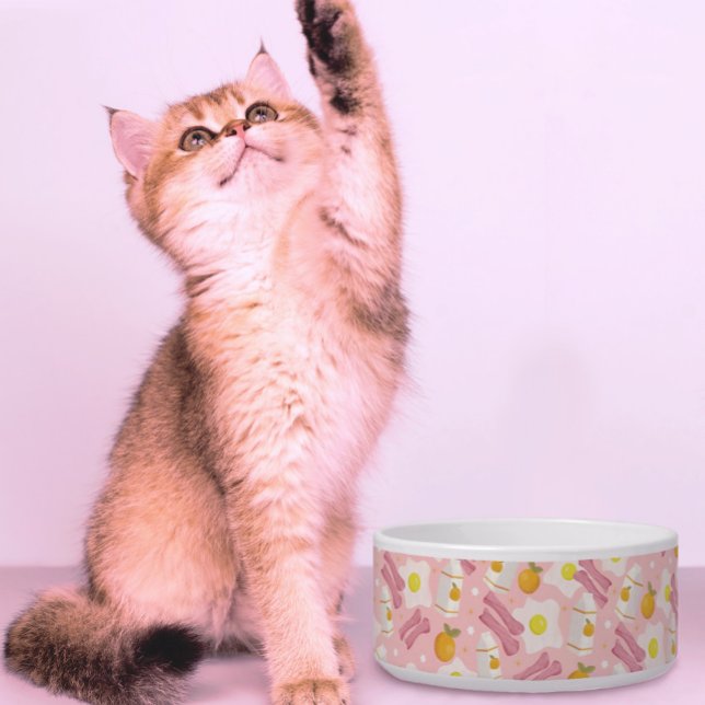 Optimistic Breakfast  Bowl (Creator Uploaded)