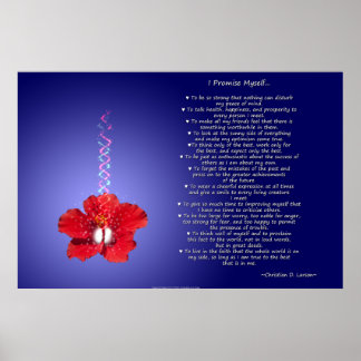 Optimist's Creed: Inspirational Hibiscus Poster