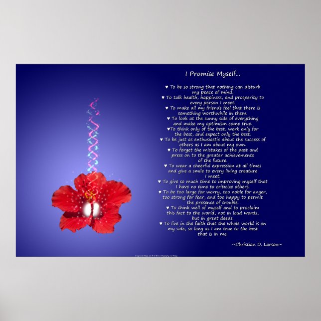 Optimist's Creed: Inspirational Hibiscus Poster (Front)