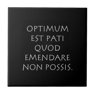 Optimum est pati quod emendare non possis ceramic tile
