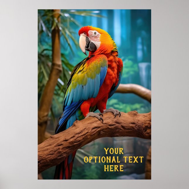Optional Text Colorful Parrot Poster (Front)