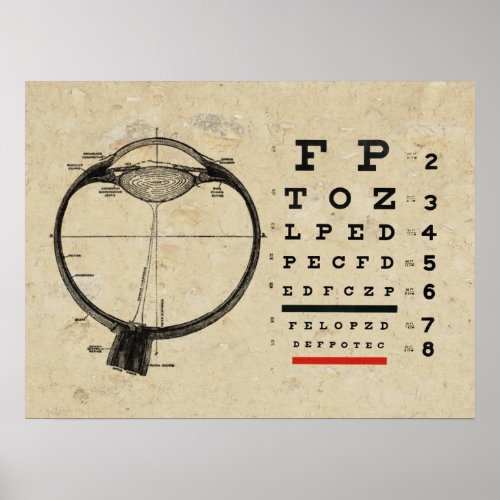 Optometry Poster Ophthalmologist Eye Chart