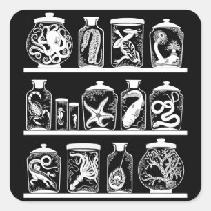 OPUS Curiosity Cabinet Square Sticker