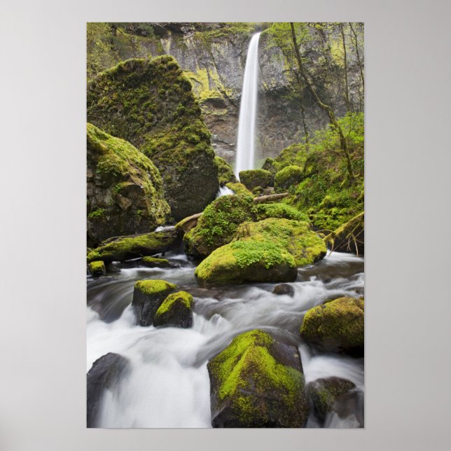 OR, Columbia River Gorge, Elowah Falls and Poster (Front)