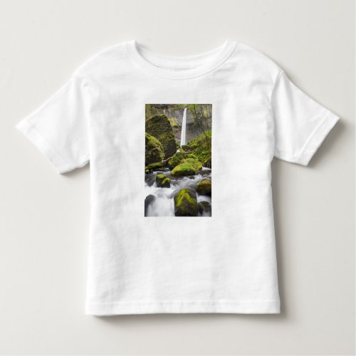 OR Columbia River Gorge Elowah Falls and Toddler T_shirt