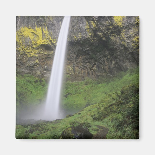 OR, Columbia River Gorge, Elowah Falls, McCord 2 Magnet (Front)