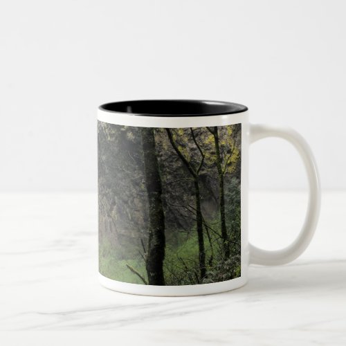 OR Columbia River Gorge Elowah Falls McCord Two_Tone Coffee Mug