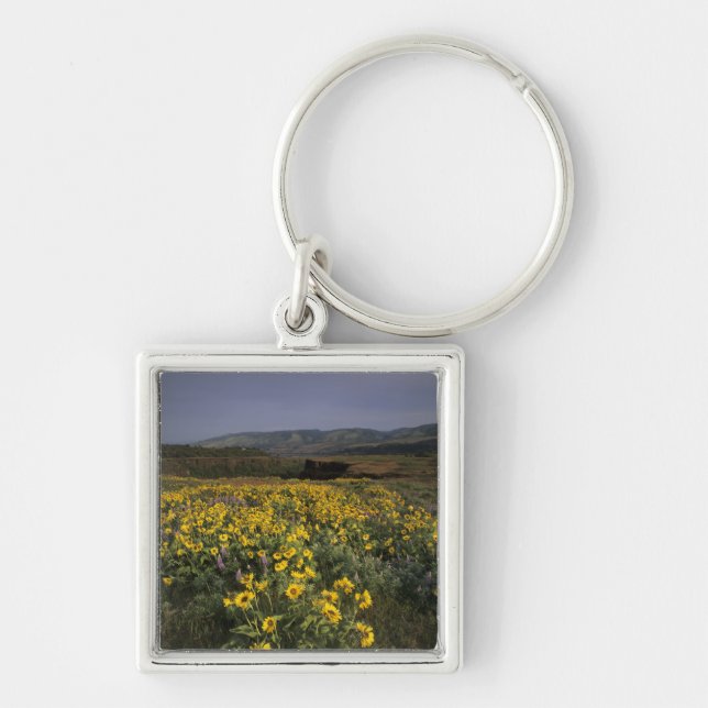 OR, Columbia River Gorge, Rowena Plateau, Tom Keychain (Front)