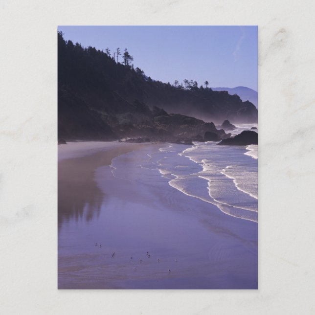 OR, Ecola SP, Indian Beach with morning fog Postcard (Front)