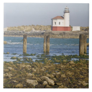 OR, Oregon Coast, Bandon, Coquille River 2 Ceramic Tile