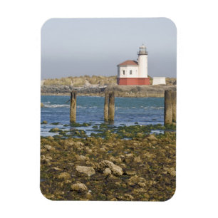 OR, Oregon Coast, Bandon, Coquille River 2 Magnet