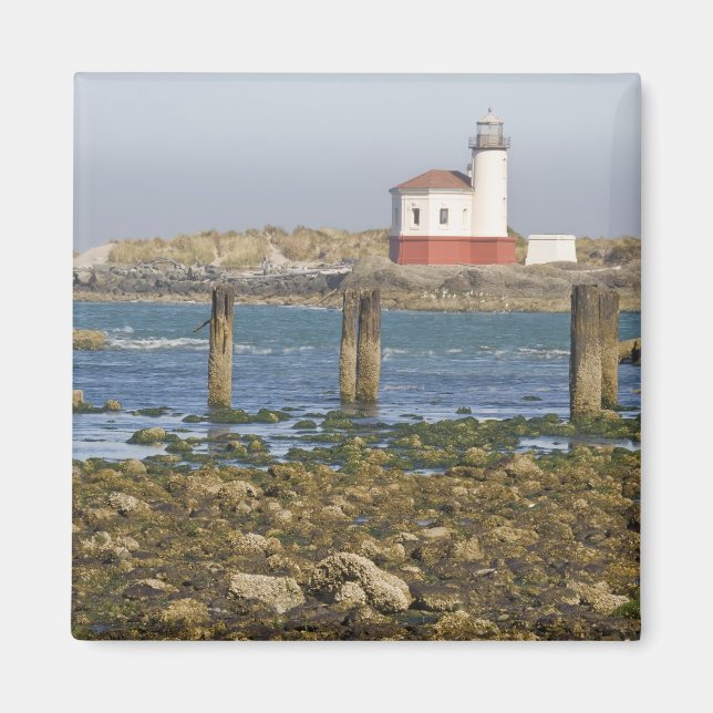 OR, Oregon Coast, Bandon, Coquille River 2 Magnet (Front)