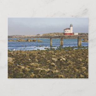 OR, Oregon Coast, Bandon, Coquille River Postcard