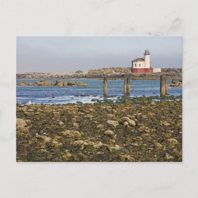 OR, Oregon Coast, Bandon, Coquille River Postcard (Front)