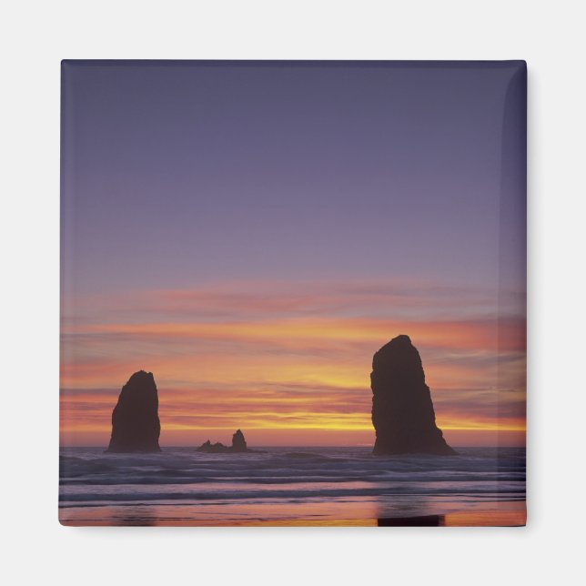 OR, Oregon Coast, Cannon Beach, seastacks at Magnet (Front)