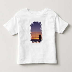 OR, Oregon Coast, Cannon Beach, seastacks at Toddler T-shirt
