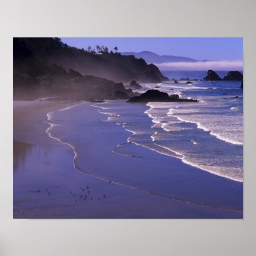 OR Oregon Coast Ecola SP Indian Beach with Poster