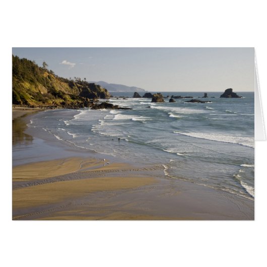 OR, Oregon Coast, Ecola State Park, Indian (Front Horizontal)
