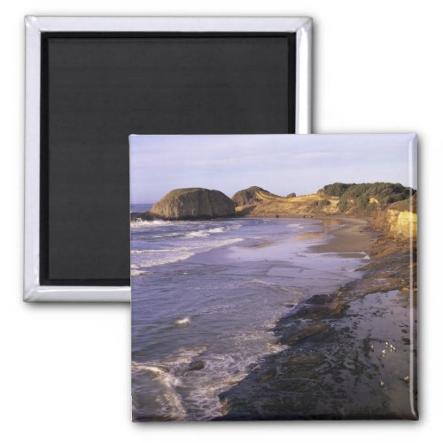 OR Oregon Coast Newport shoreline at Seal Magnet