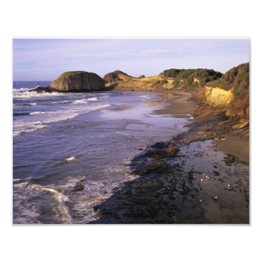 OR, Oregon Coast, Newport, shoreline at Seal Photo Print