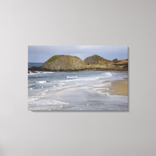 OR Oregon Coast Seal Rock State Park Canvas Print