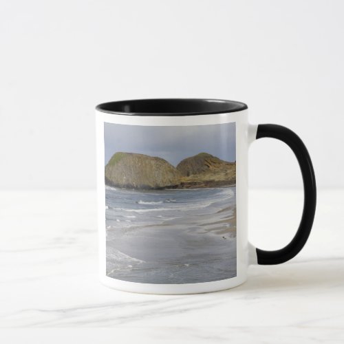 OR Oregon Coast Seal Rock State Park Mug