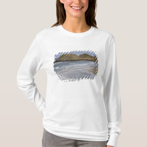OR Oregon Coast Seal Rock State Park T_Shirt