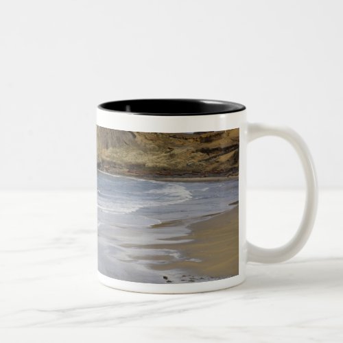 OR Oregon Coast Seal Rock State Park Two_Tone Coffee Mug