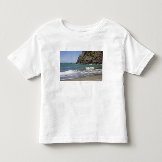 OR, Oregon Coast, Whaleshead Beach, South Toddler T-shirt (Front)