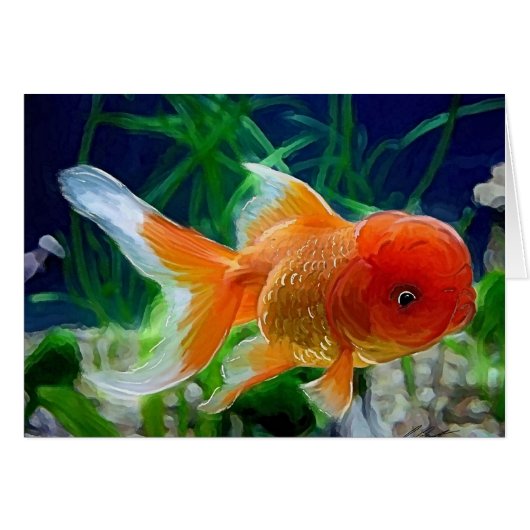 Oranda Goldfish Cards (Front Horizontal)