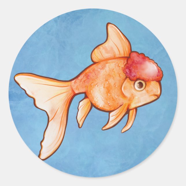 Oranda Goldfish Classic Round Sticker (Front)