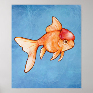 Oranda Goldfish Poster