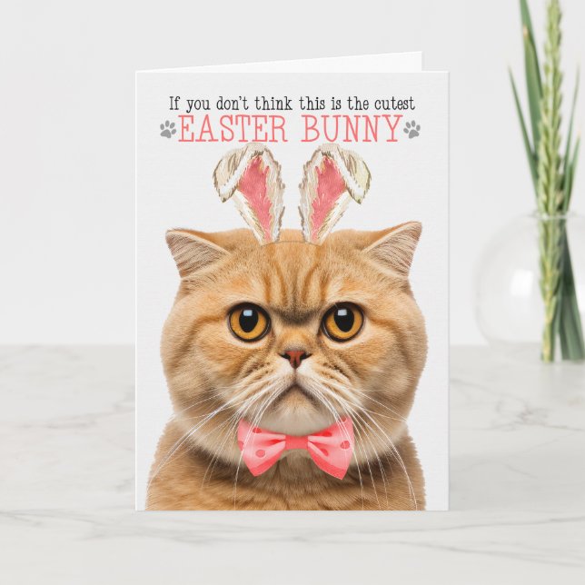 Orang Scottish Fold Cutest Easter Bunny Kitty Puns Holiday Card (Front)