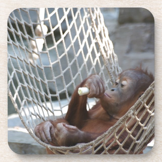 Orang-Utan Drink Coaster (Front)