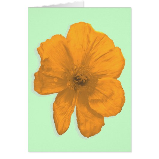 Orange Aid/ PopArt Flower Cards (Front)