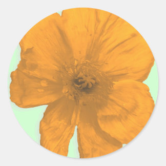 Orange Aid/ PopArt Flower Classic Round Sticker