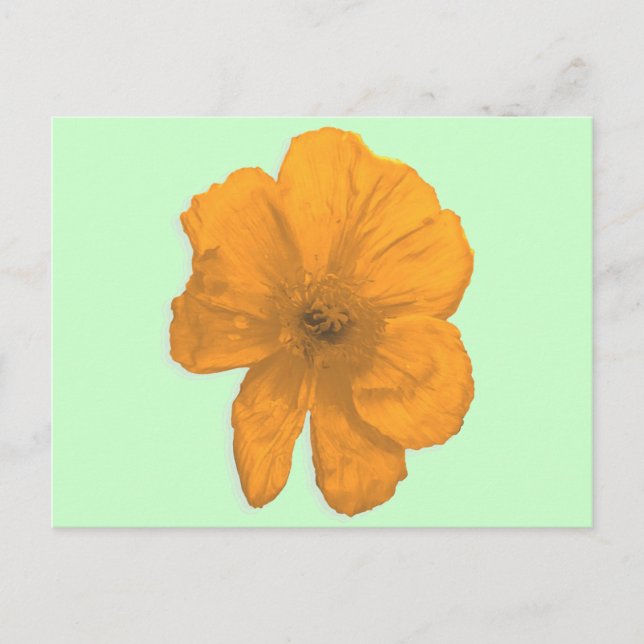 Orange Aid/ PopArt Flower Postcard (Front)