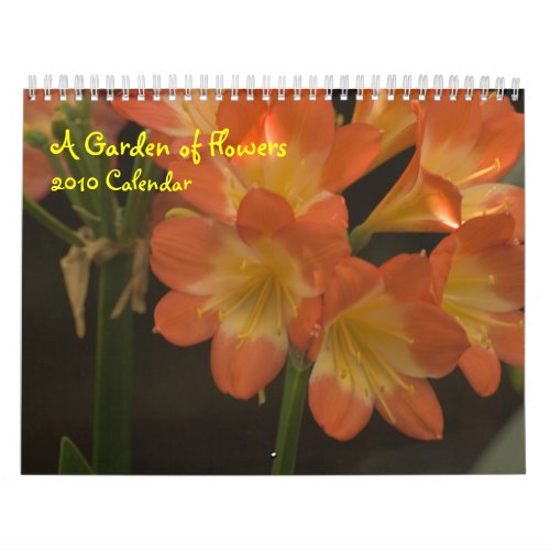 Orange Amaryllis Calendar