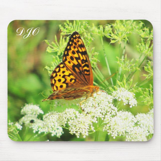 Orange and Black Butterfly on White Flower Mouse Pad (Front)