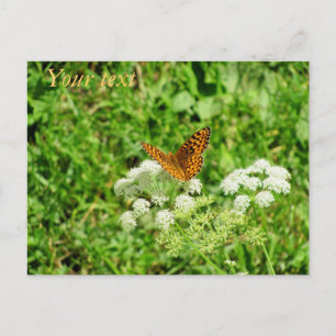 Orange and Black Butterfly Postcard