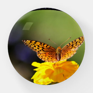 Orange and black butterfly visiting a marigold. paperweight