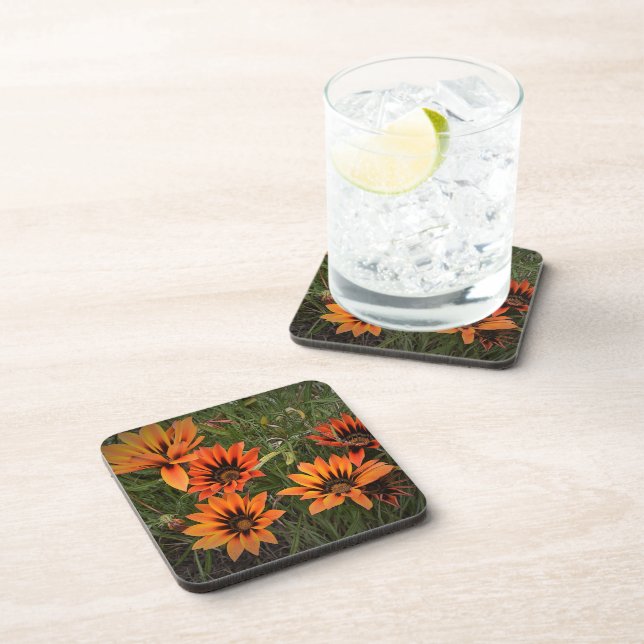 Orange and Black Gazanias Coasters (Right Side)