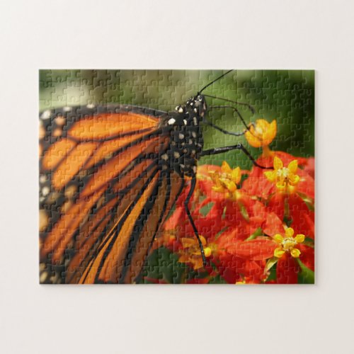 Orange and Black Monarch Butterfly Jigsaw Puzzle